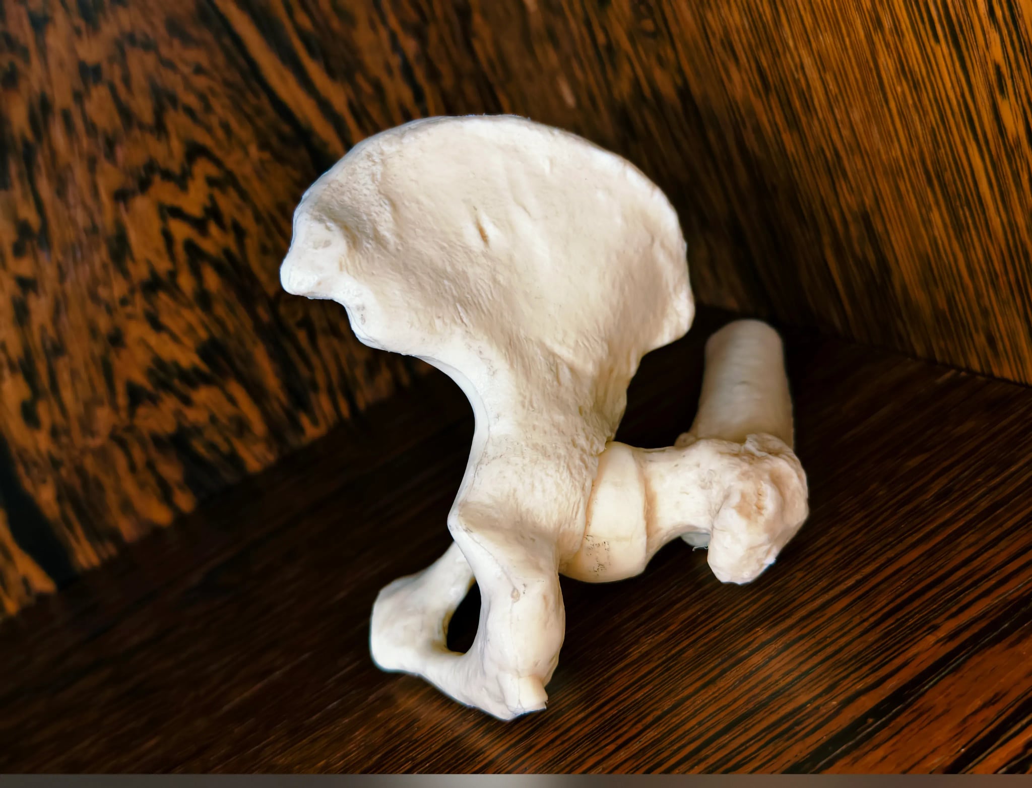 Praxisimpression 2 - Gemeinschaftspraxis Osnabrück